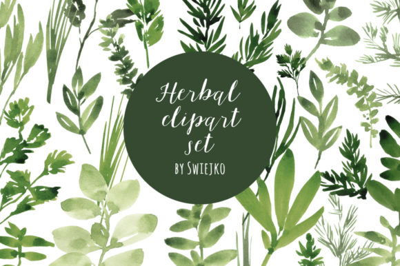 Download Watercolor Herbs, Basil, Oregano, Mint - Basil Collection
